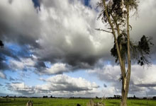 瑞典对阵斯洛伐克的最终比分是多少？