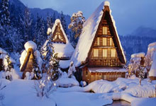 牛牛究竟有哪些独特魅力？